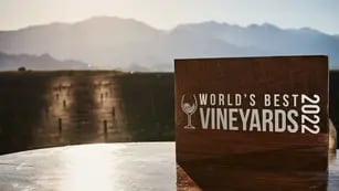 World’s Best Vineyards