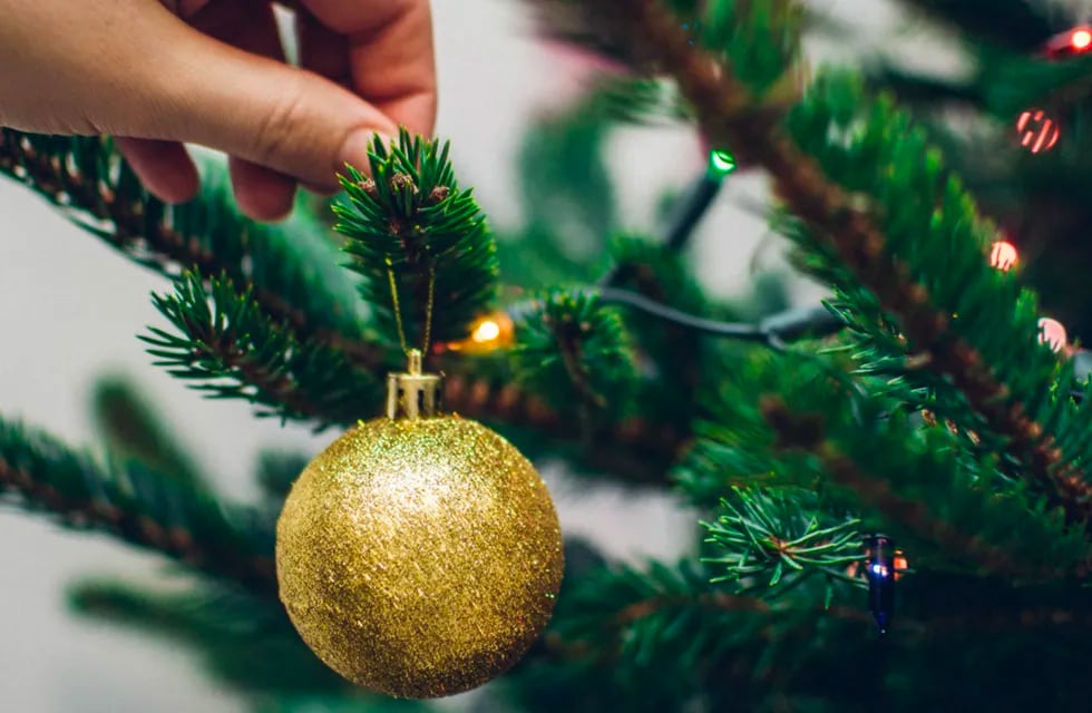 En Facebook ofrecen alimentos no perecederos a cambios de árboles de Navidad.