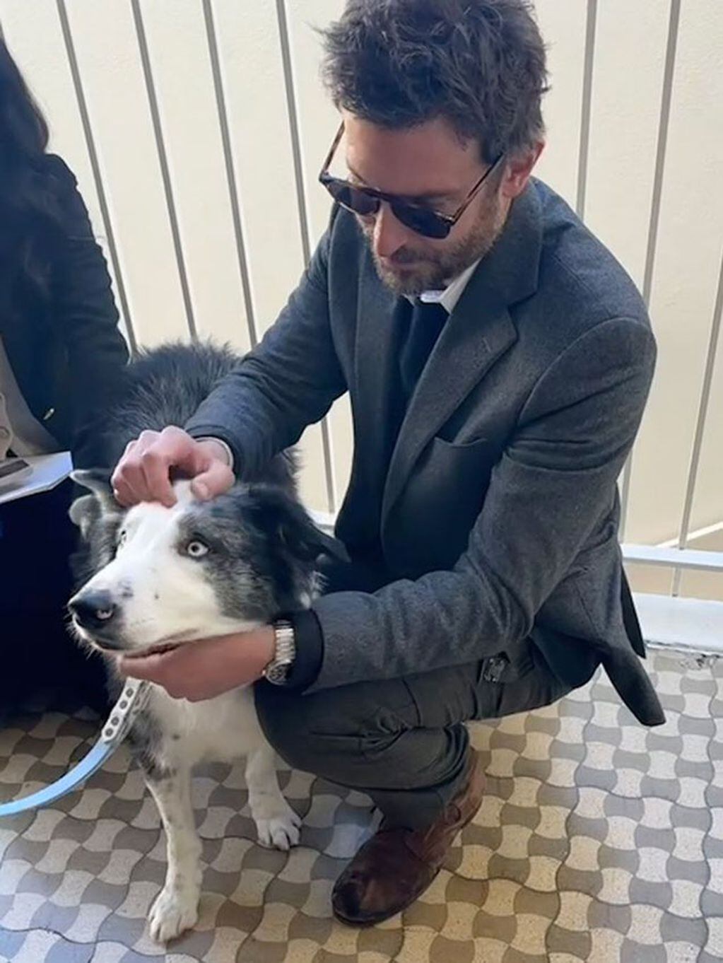 El perro Messi y Bradley Cooper en el almuerzo de los nominados de los Oscars