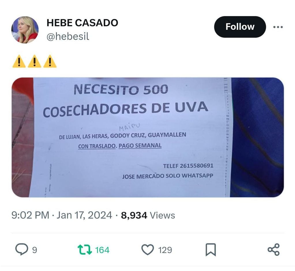 El tuit de Hebe Casado que generó repercusión en redes sociales