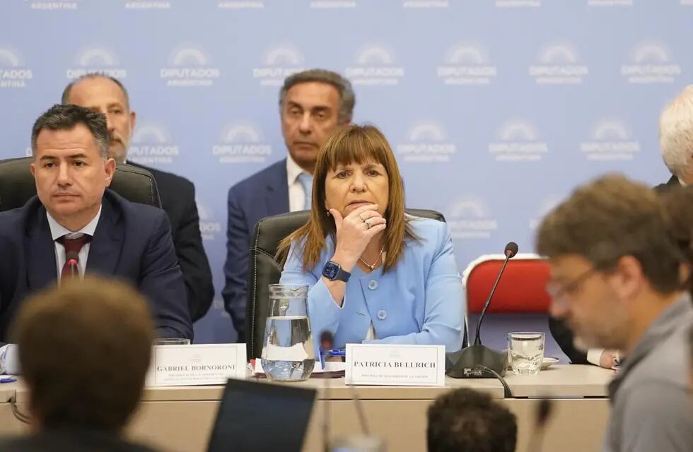Patricia Bullrich, ministra de Seguridad, en el debate por la "ley ómnibus". (Clarín)