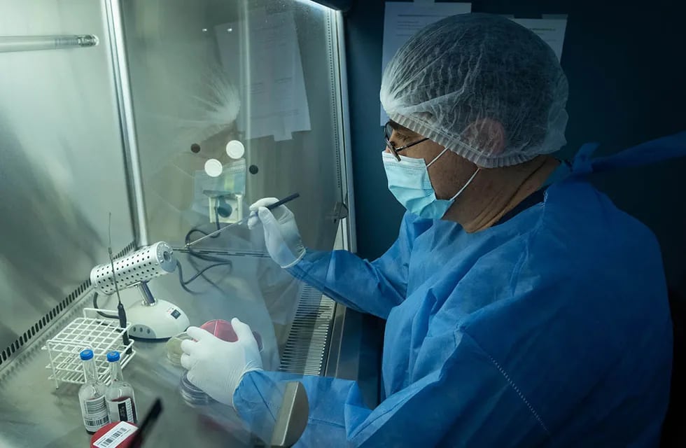 El laboratorio se ha convertido en un eje fundamental para el diagnóstico y seguimiento de la enfermedad. Foto: Ignacio Blanco / Los Andes