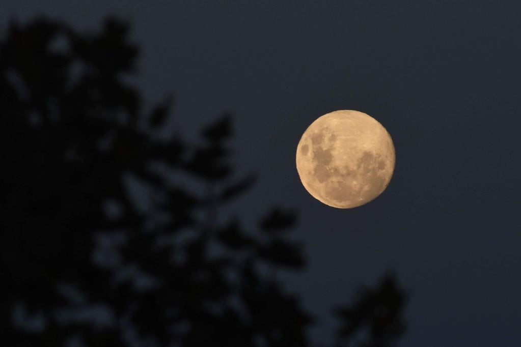 Noches de Luna llena Foto: Marcelo Rolland