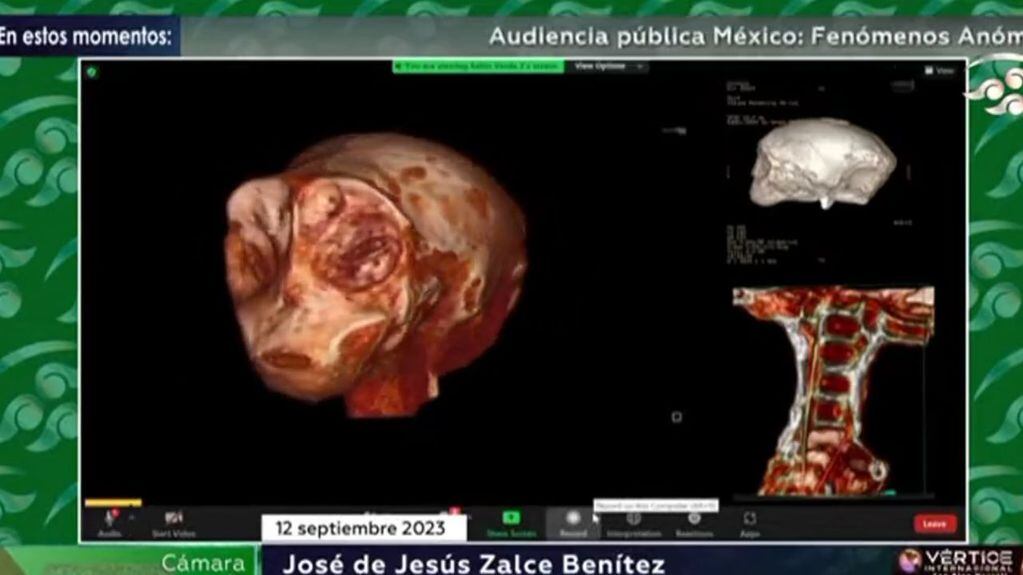 Un ufólogo presentó “seres no humanos” en la cámara de diputados de México.
