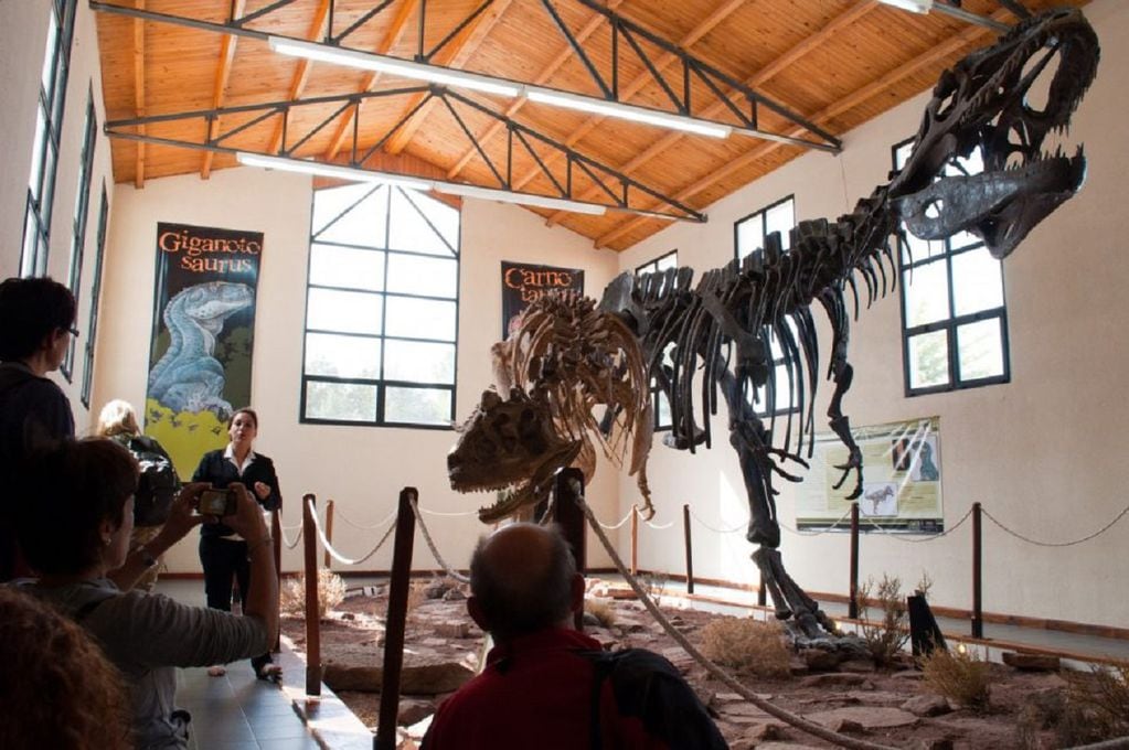 El Giganotosaurus carolinii en el museo municipal Ernesto Bachmann – Villa El Chocón (Neuquén) (Turismo Neuquén)