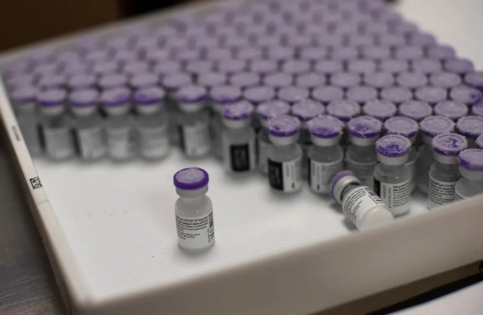 Vacuna Pfizer/BioNTech (AP / Francisco Seco / Archivo)