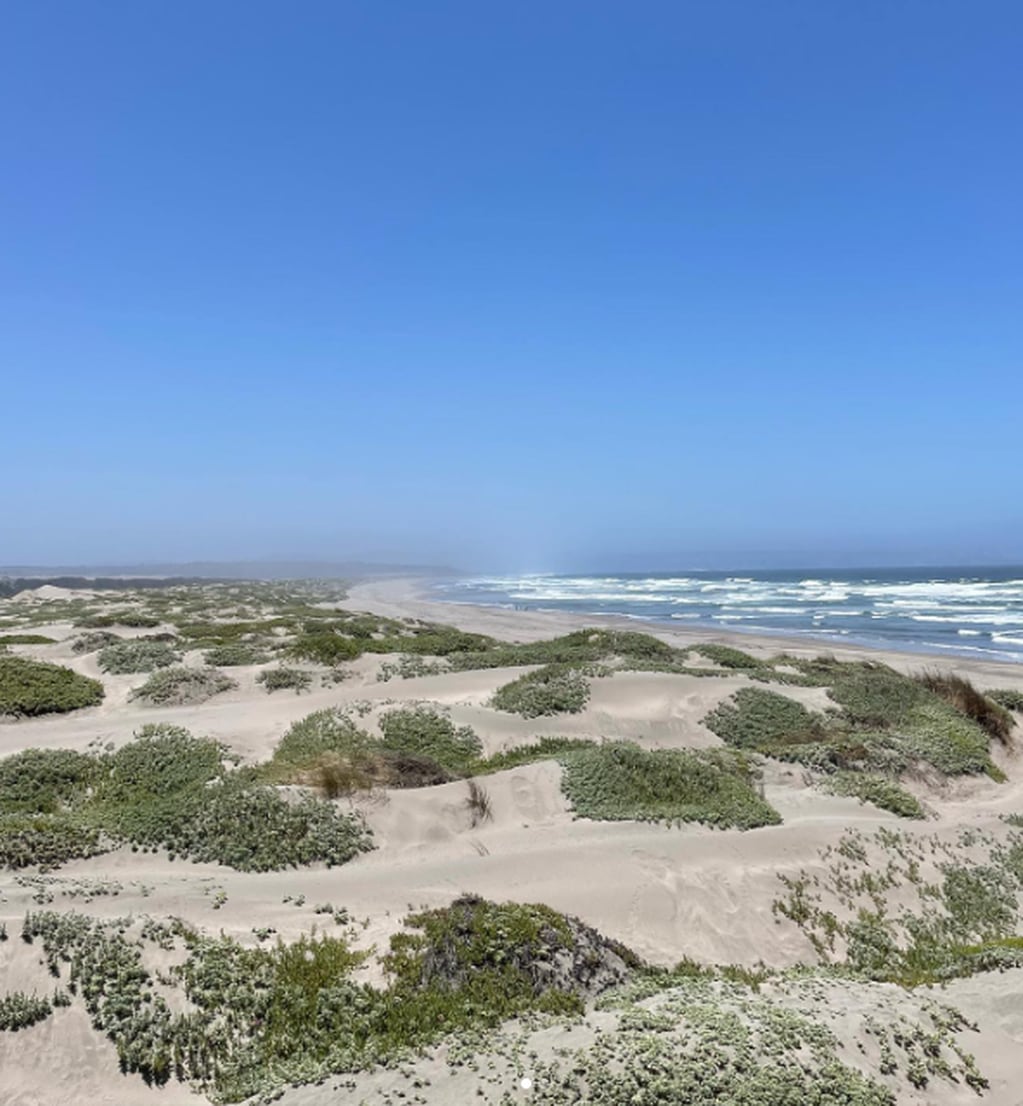 Ritoque, la tranquila playa de dunas y bosques ubicada a una hora de Reñaca e ideal para surfear. Foto: Instagram @bmorera