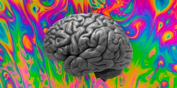 El uso de LSD y el funcionamiento del cerbro