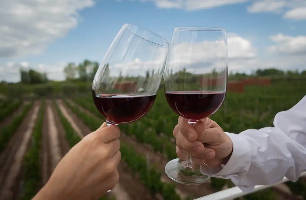 Degustando vino entre viñedos
Foto: Ignacio Blanco / Los Andes