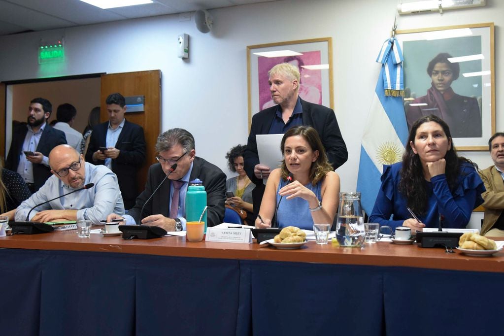 Las diputadas Vanesa Siley y Mónica Macha, del Frente de Todos, encabezaron el debate (Foto: HCDN)
