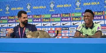 Video: un gato se coló durante la conferencia de Vinicius Junior y el jefe de prensa la revoleó