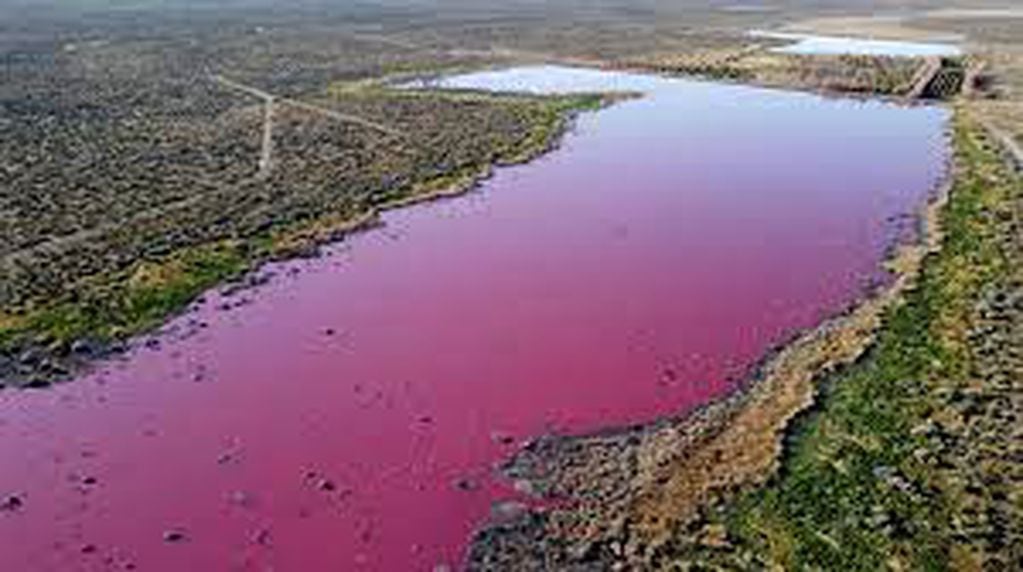 Las autoridades provinciales de Chubut afirmaron días atrás que el color rosado desaparecería en algunos días.