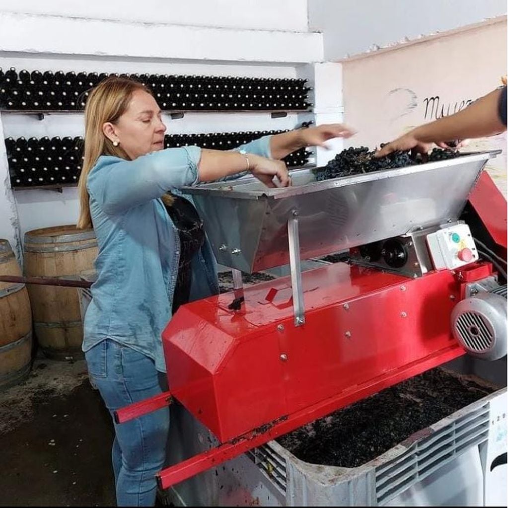 Las mujeres elaboraban sus vinos en una pequeña bodega que habían establecido en un galpón del Instituto Nacional de Tecnología Agropecuaria (INTA) en La Consulta, en San Carlos.