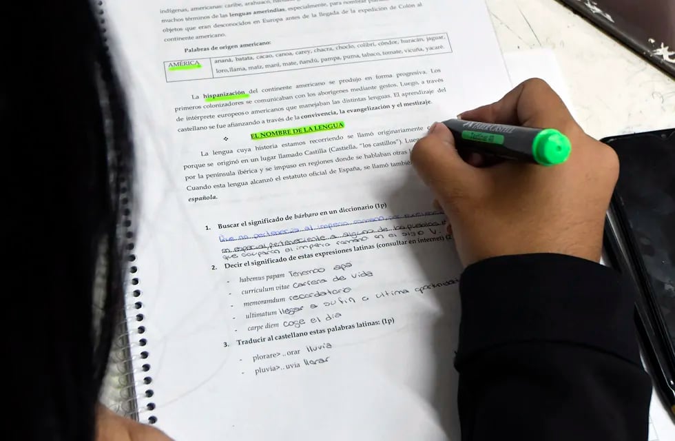 La DGE informó que estableció un sistema para el dictado de clases en Institutos de Educación Superior. Foto: Orlando Pelichotti / Los Andes