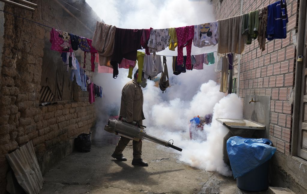 Por la invasión de mosquitos, piden reforzar los cuidados para la prevención del dengue. / Foto. AP
