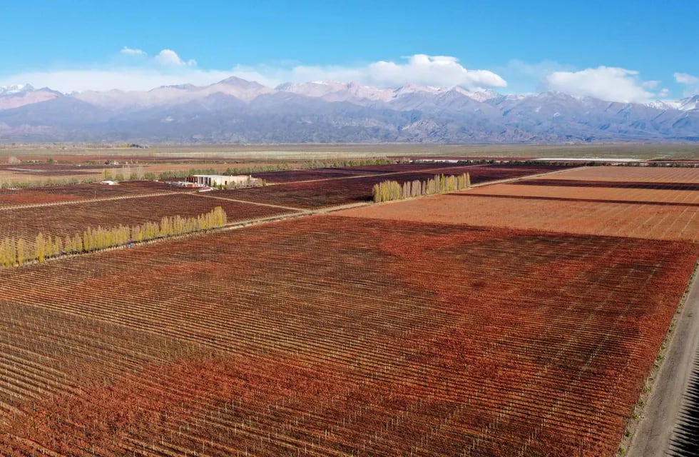 Vista de viñedos del Valle de Uco en el final del otoño. Claudio Gutiérrez / Los Andes