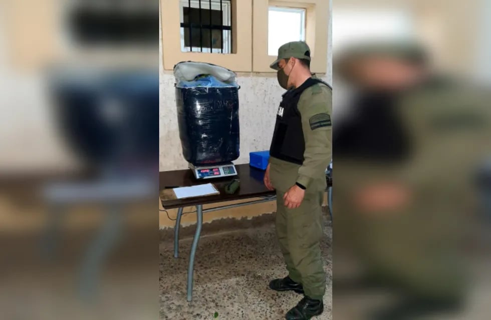 Gendarmería Nacional confiscó más de 250 kilos de hojas de coca que eran transportadas en un camión de encomiendas.