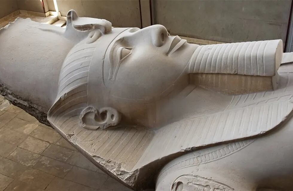 Detalle de la cabeza de la estatua colosal de Ramsés II en Menfis descubierta por Caviglia en 1820.
