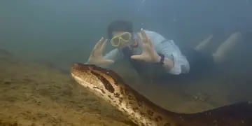 Hallazgo de una Anaconda