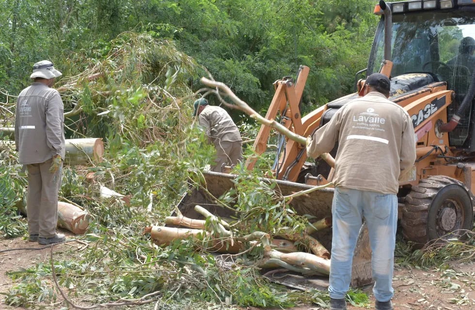 Daños y trabajos en Lavalle tras la fuerte tormenta de granizo (Prensa Municipalidad de Lavalle)