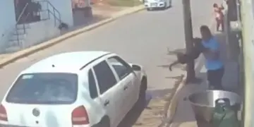 Detuvieron a un hombre que tiró a un perro en aceite caliente