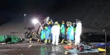 Camionero argentino volcó y murió en los Caracoles de Chile