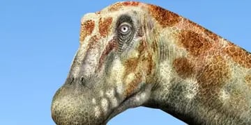 Gran hallazgo: un mendocino de la UNCuyo descubrió uno de los últimos titanosaurios en Chile