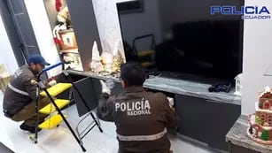 Operación Metástasis: más de 30 funcionarios de Ecuador fueron detenidos por narcotráfico