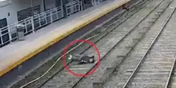 Un hombre cayó a las vías del tren y se salvó de milagro