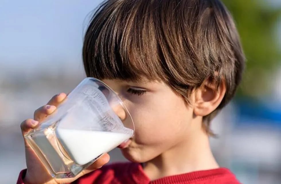 La leche y sus derivados aportan nutrientes como proteínas, calcio, vitaminas A, B1, B2, B12 y D. | Imagen ilustrativa / Web