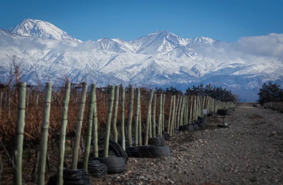 Las inversiones del Mendoza Activa en el agro se acercan a $1.500 millones. Foto: Ignacio Blanco / Los Andes