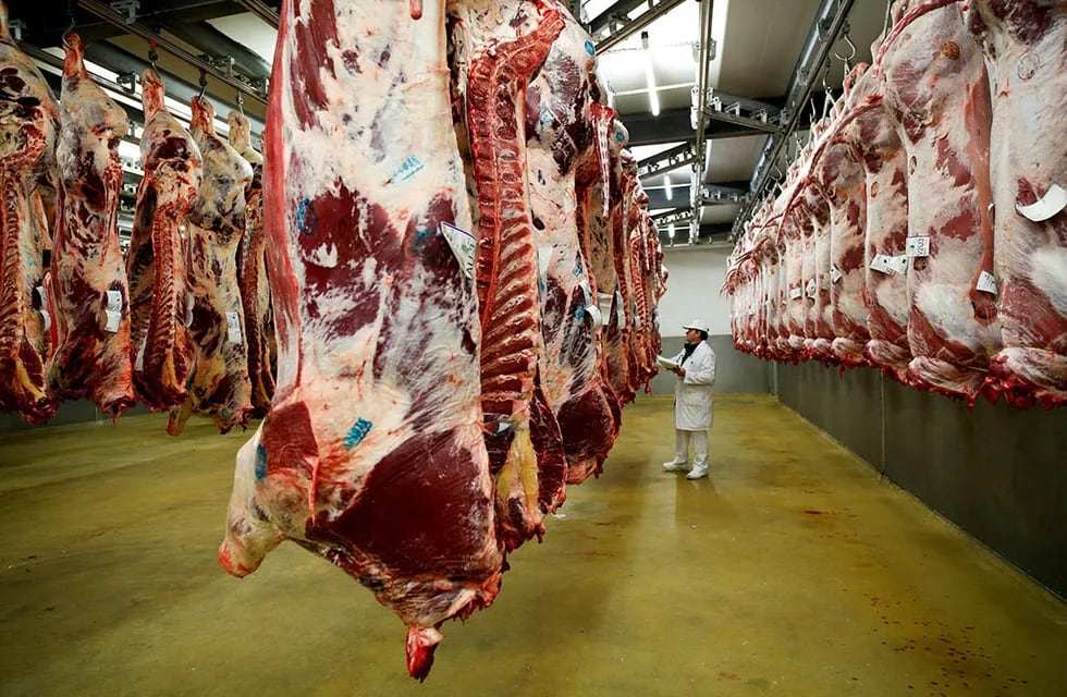 El Ministerio de Agricultura, Ganadería y Pesca procedió a interdictar más de 220.000 kilos de carne vacuna. Foto: Los Andes