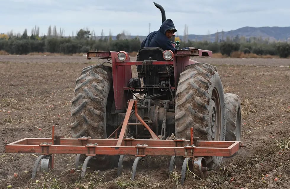 Hoy fue publicada en el Boletín Oficial la resolución que establece un pago extraordinario de $26 mil para los trabajadores rurales, que se suma al bono de $24 mil. Foto: Orlando Pelichotti /  Los Andes