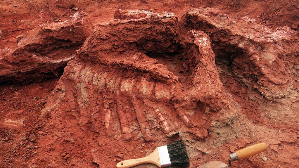 Paleontología, por qué se hicieron gigantes los dinosaurios?
