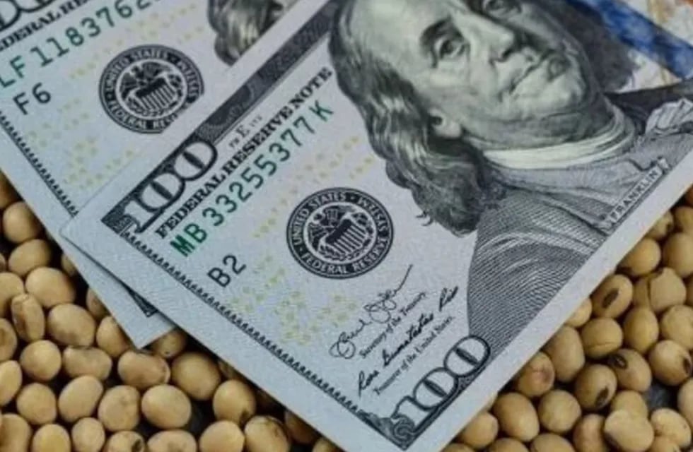 ¿Cuál es el balance de la última edición del dólar soja?