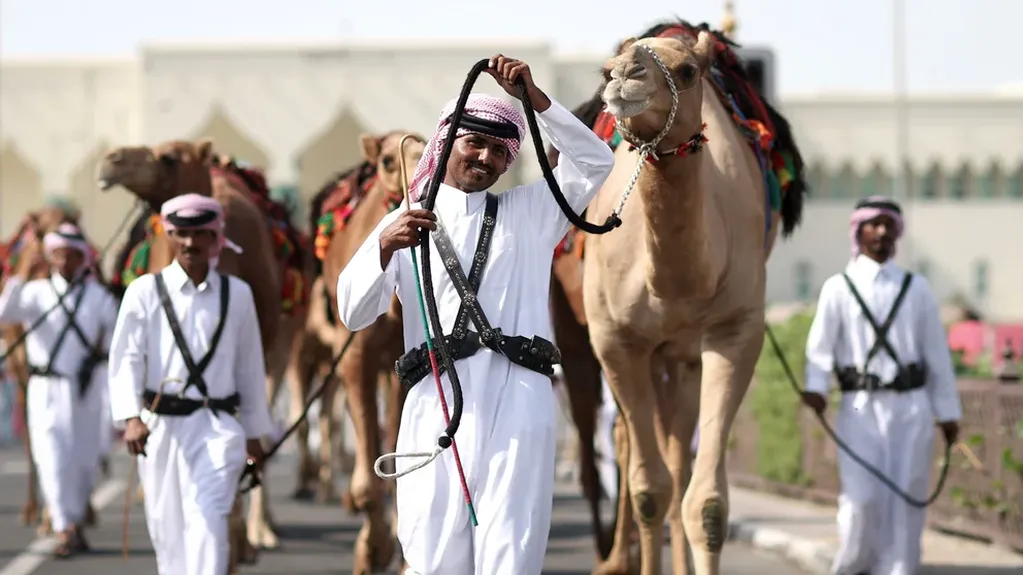 En el predio más grande de Qatar conviven miles de camellos. Foto: Gentileza