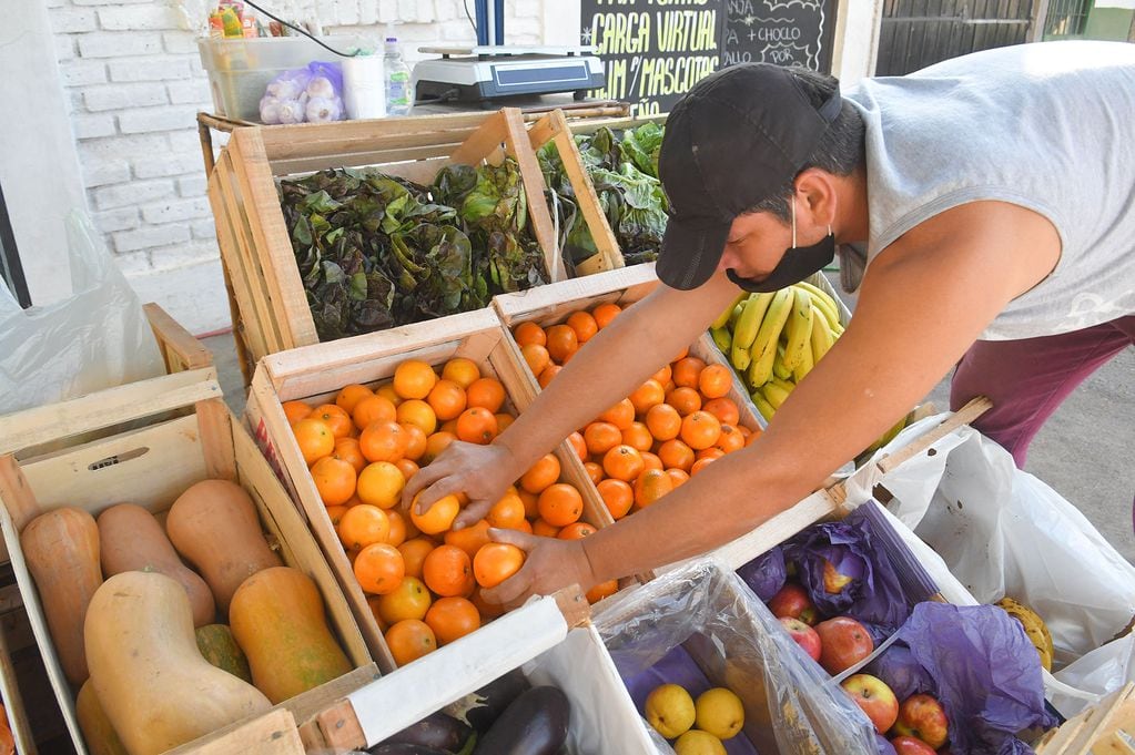 
Foto: Orlando Pelichotti




verdura fruta limon limones mandarinas bananas huevos papa cebolla verdulera crisis emprendimiento