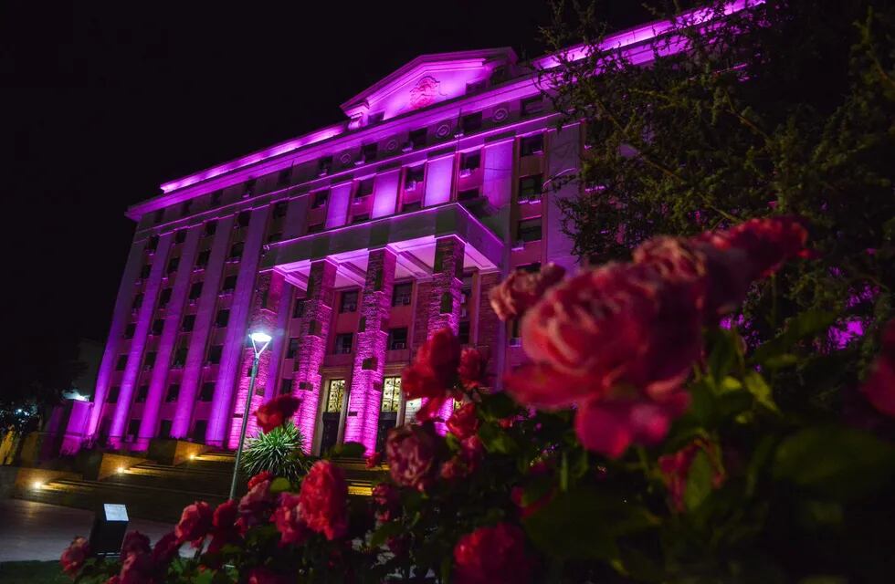 El 19 de octubre la Casa de Gobierno se iluminó de color rosa por el día de prevención del cáncer de mama