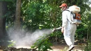Detectan dos casos de chikungunya en Puerto Iguazú