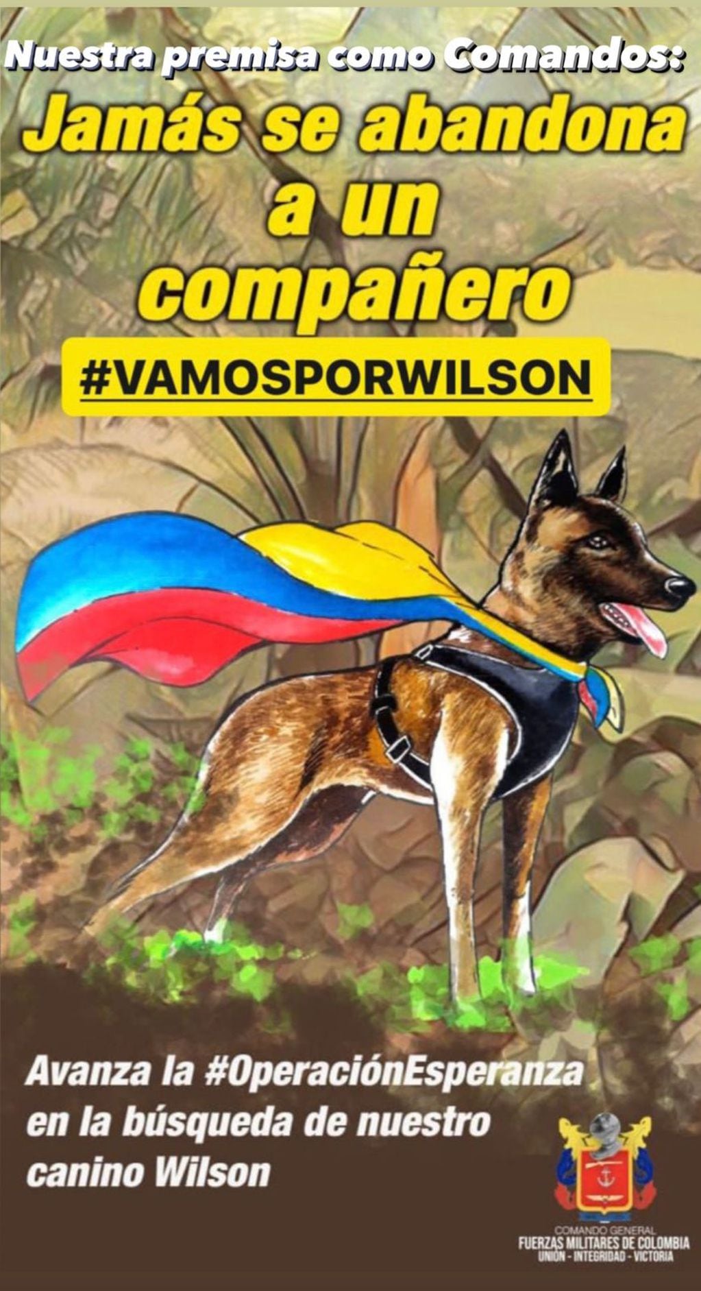 Una de la imágenes compartidas por las Fuerzas Militares de Colombia en plenas labores de búsqueda de Wilson.