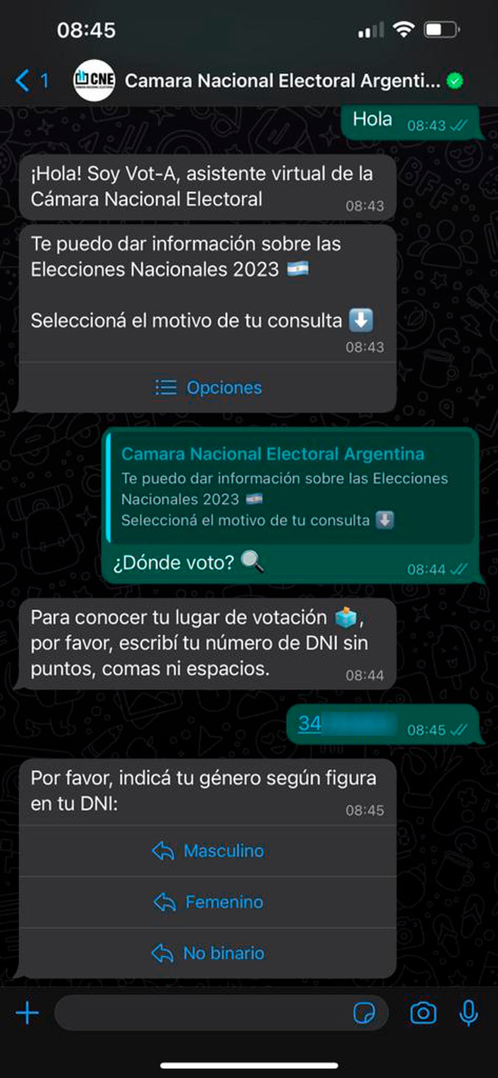 Cuarto paso con el chatbot Vot-A. Foto: Los Andes