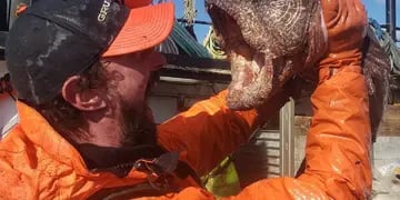El espeluznante "monstruo marino" hallado en el mar de Bering, Alaska (EEUU)