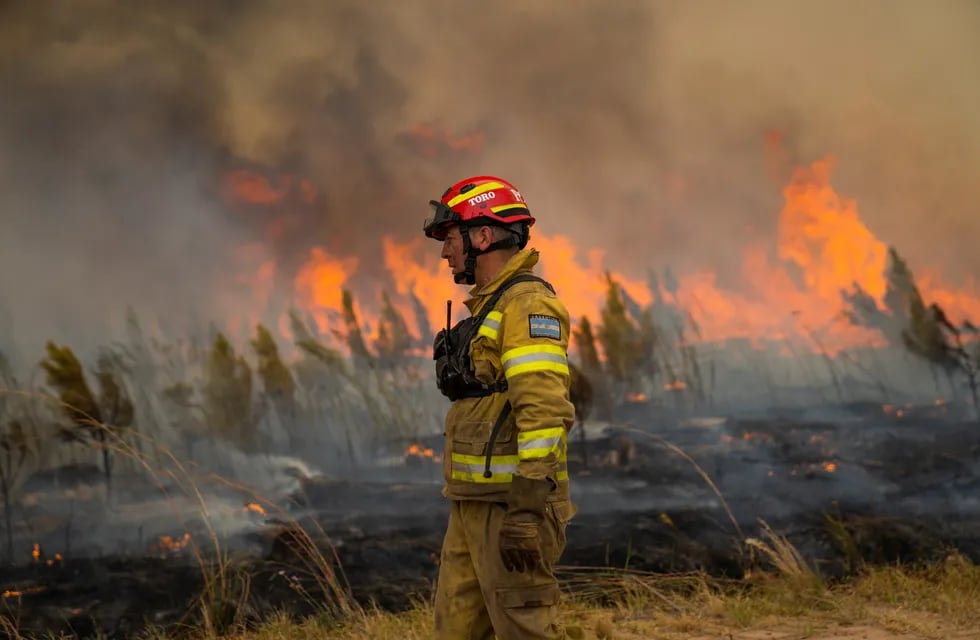 Los incendios en Corrientes ya arrasaron con el 40% del Parque Nacional del Iberá, donde científicos habían logrado reinsertar animales en peligro de extinción.  AP