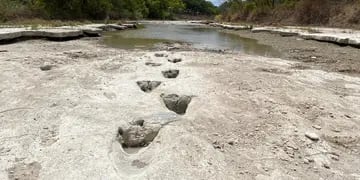 La extrema sequía dejó al descubierto huellas de dinosaurios en un parque de Texas