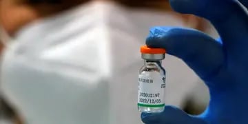 Vacuna Sinopharm. (AP)