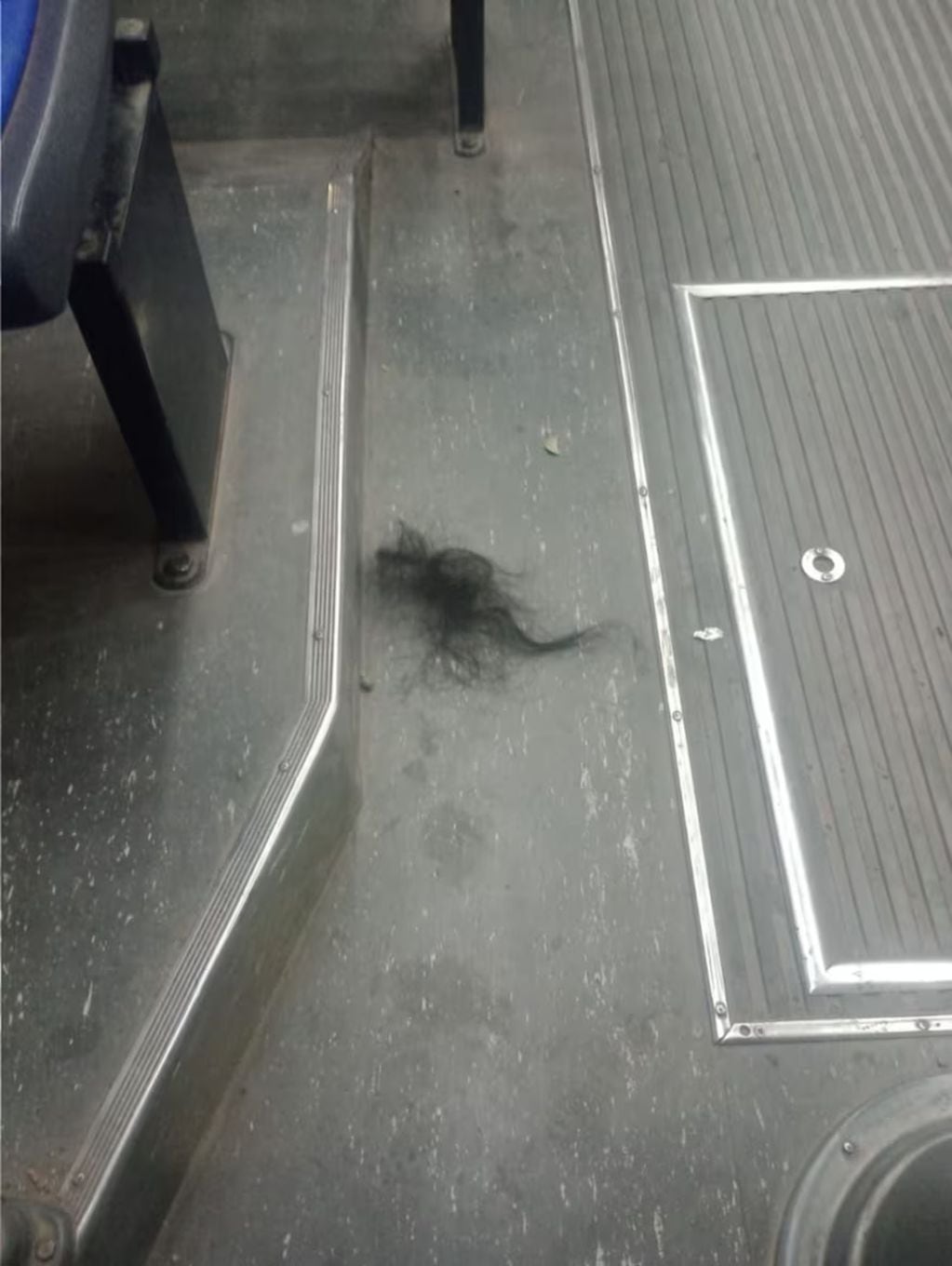 La agresora le arrancó un importante mechón de pelo a la mujer y también el cuero cabelludo. Foto: Gentileza 0221