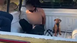 Perro junto a su dueño detenido