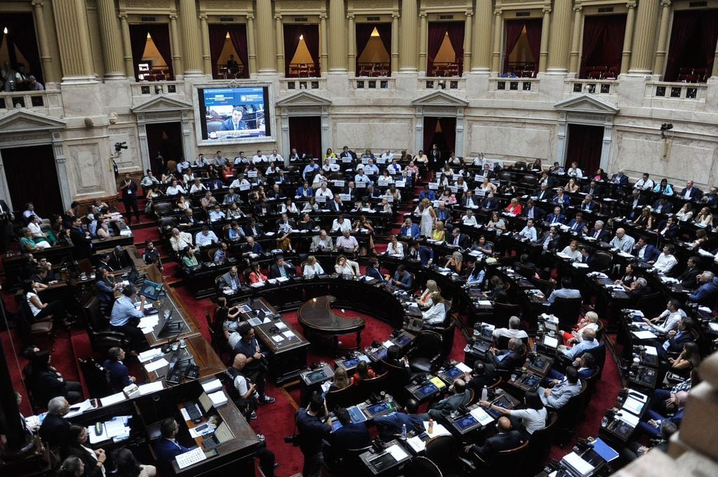 Diputados aprobó en general la Ley Ómnibus. Foto: Federico Lopez Claro