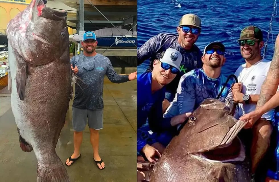 Atraparon un pez de 160 kilogramos y 50 años de vida que está en peligro de extinción