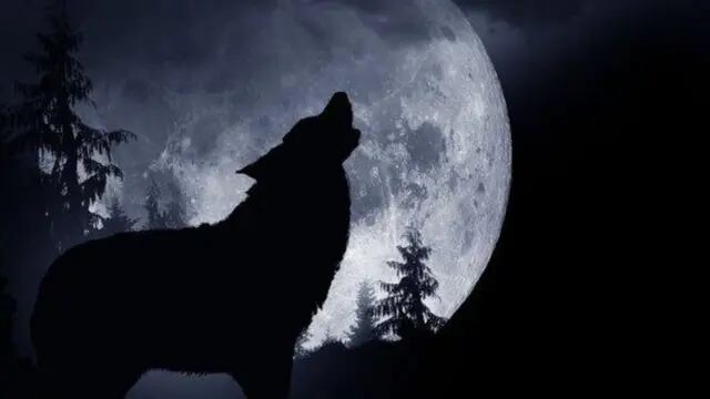 “Luna de Lobo”, la primera luna llena del 2021: por qué se llama así y cuándo se podrá ver